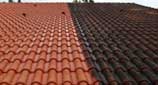 traitement nettoyage toiture pignon et façade 28